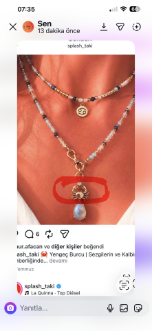 Özel link